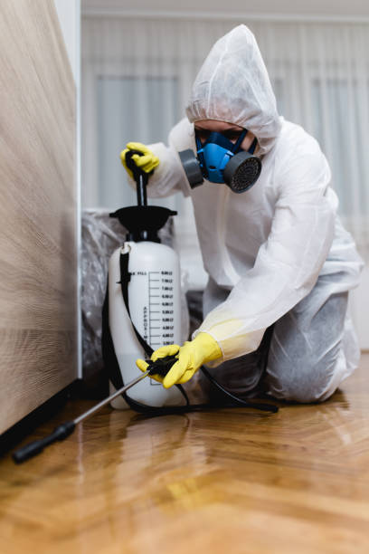 Best Termite Inspection and Treatment  in Stone Mountain, GA